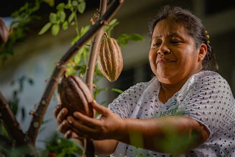 Heifer International Urges Response for Farmers in Latin America