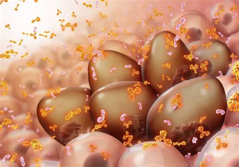 cell therapy prolongs survival    resistant myeloma time news