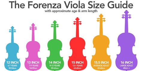 Size Guide for Violins, Violas and Cellos | Normans Blog