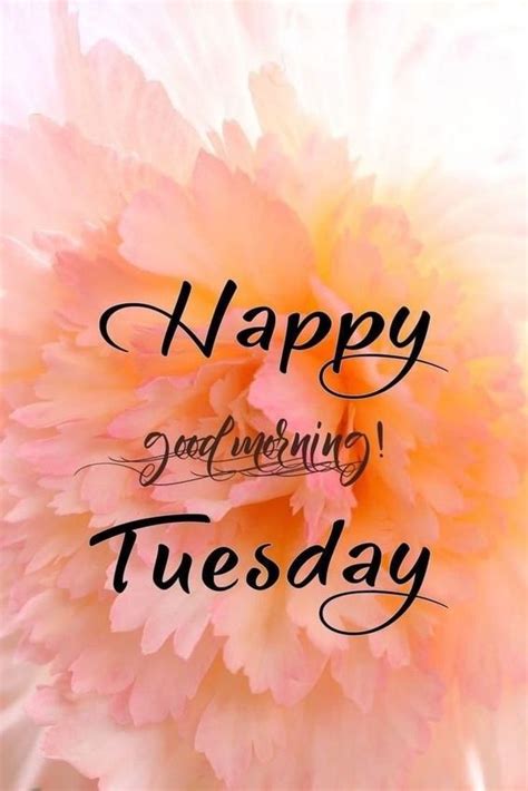 100 Happy Tuesday Images And Sayings - Dreams Quote