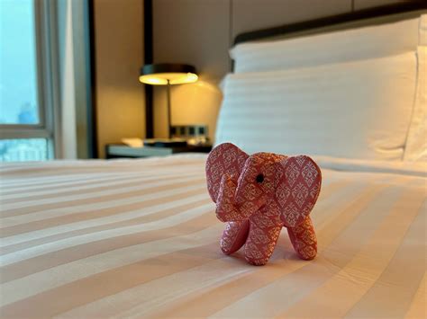 Sustainability will be the focus for every conrad hotel 22