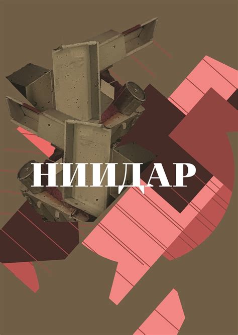 Студенческое портфолио / НИИДАР