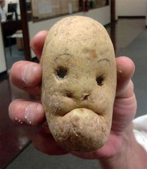 Potato face (21 pics) - Izismile.com