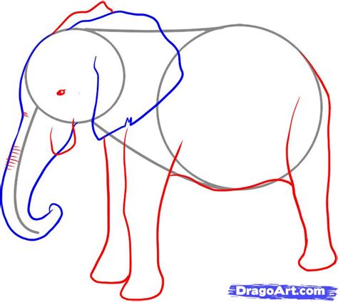 Elephant Drawing With Trunk Up at PaintingValley.com | Explore ...