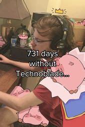 meowbahh technoblade unblurred