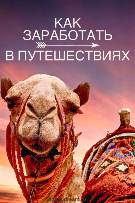 Как заработать на путешествиях | Morocco travel, Africa travel, Travel