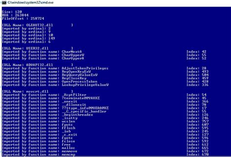 cybertest portable executable dumper tool