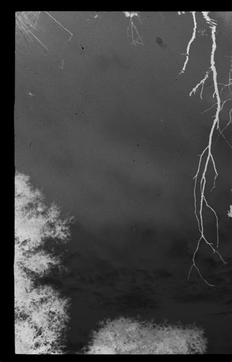 Mood — Gundula Blumi