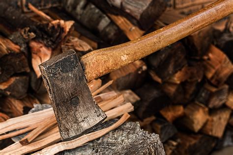 images branch sharp warm trunk tool autumn soil firewood