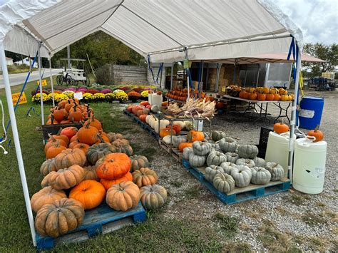 Grandpas Live Bait | Dillsboro IN