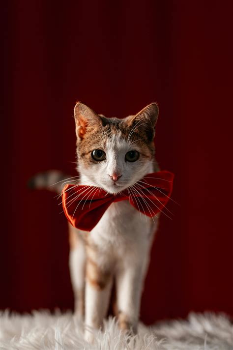 Sexy+Naked+Girls+Posing Photos, Download The BEST Free Sexy+Naked+Girls