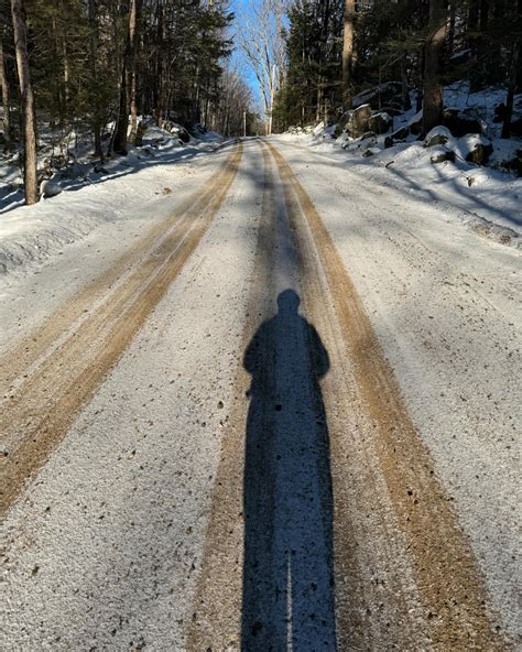 Ginger Snow | What a gorgeous day for a walk. ☀️ Put the game on pause