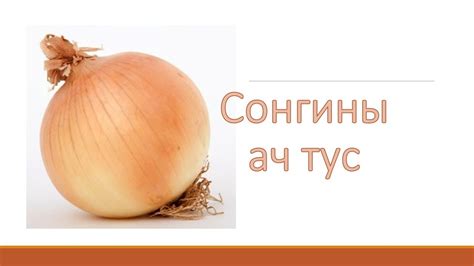 Сонгины ач тус 🧅🧅🧅 - YouTube