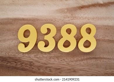 16 9388 Images, Stock Photos & Vectors | Shutterstock