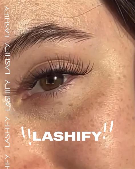 lashify applications ideas lashes beautiful lashes eyelashes