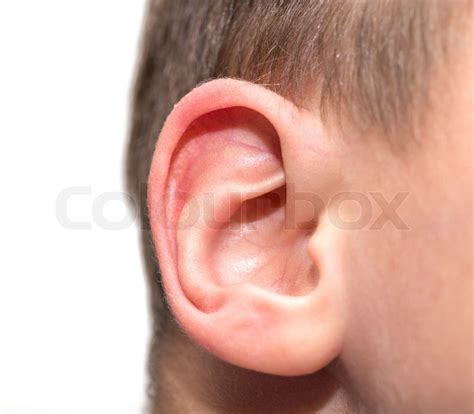 ear men macro stock image colourbox