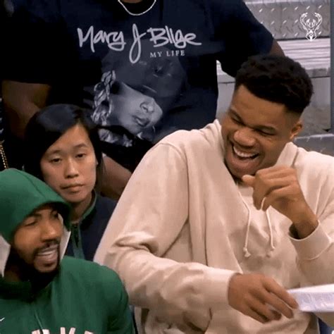 laughing gifs    gifs  gifsec