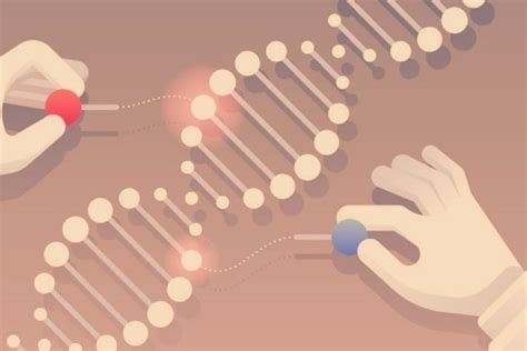 learn   genome editing  gene editing technology