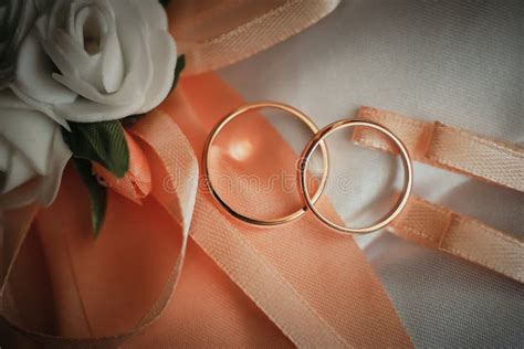 Beautiful wedding rings stock image. Image of bride - 128033293