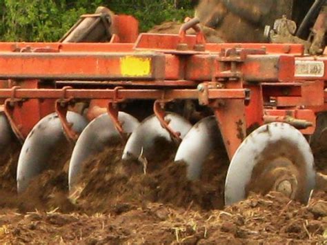 disc action tiny farm blog