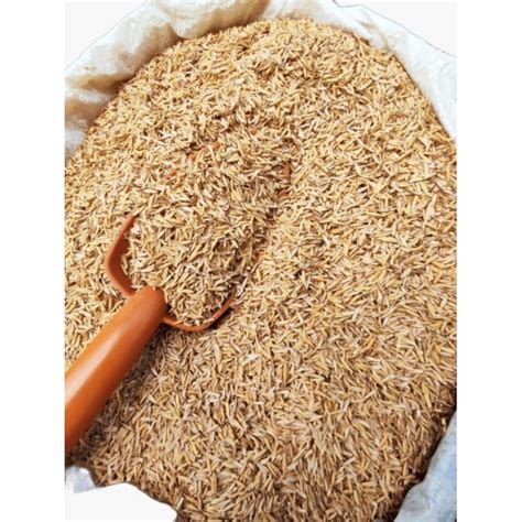 Casca De Arroz Onde Comprar - 10 Litros Casca de Arroz Natural limpa direto do engenho | Shopee Brasil