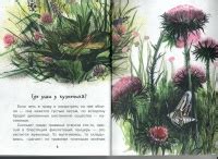 Книга: Кто видит ушами? - Виталий Танасийчук. Купить книгу, читать ...