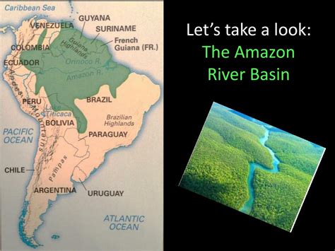 PPT - Amazon Basin: River & Rainforest PowerPoint Presentation - ID:6187823