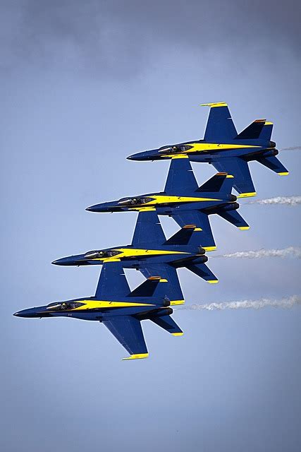 lessons   blue angel zen lawyer patrick trudell
