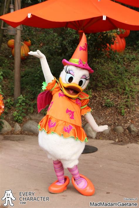 dlp halloween halloween costume cornerdlp halloween le coin