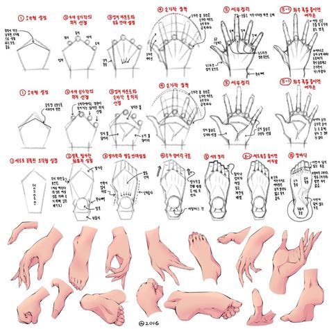 Anatomy에 있는 핀