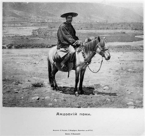 Грум-Гржимайло, Гр.Е.Описание путешествия в Западный Китай. Том 3. 1907 ...
