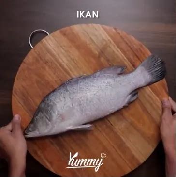 resep fillet ikan mudah  cepat