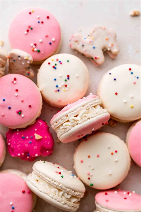 30+ Best Macaron Recipes - Homebody Eats