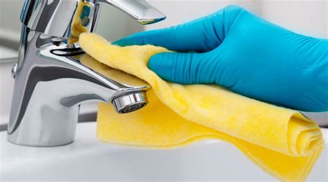 ann arbor professional deep cleaning services house cleaners