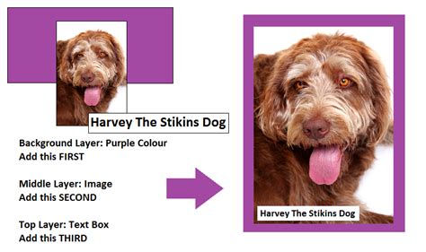 design label templates   background