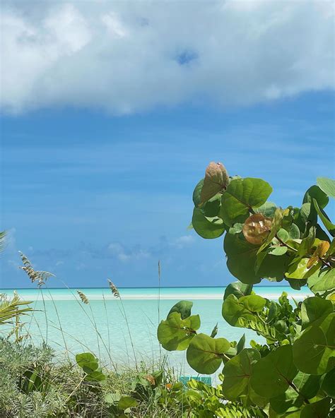 Madison Lee | Recent blues 💙🩵 | Instagram