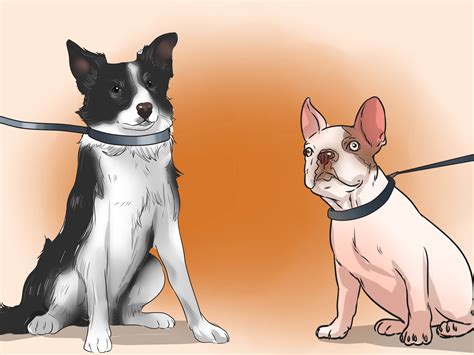 How to Train a Bully Breed Dog (with Pictures) - wikiHow