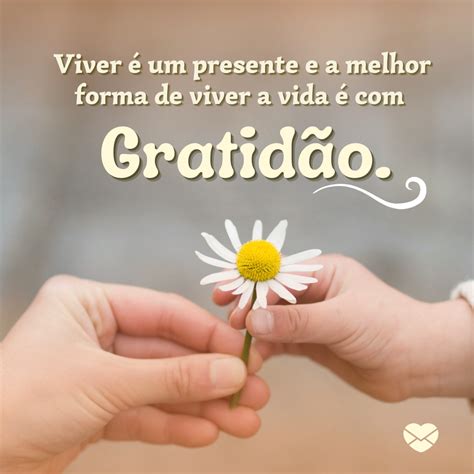 Mensagem De Gratidao Pela Vida