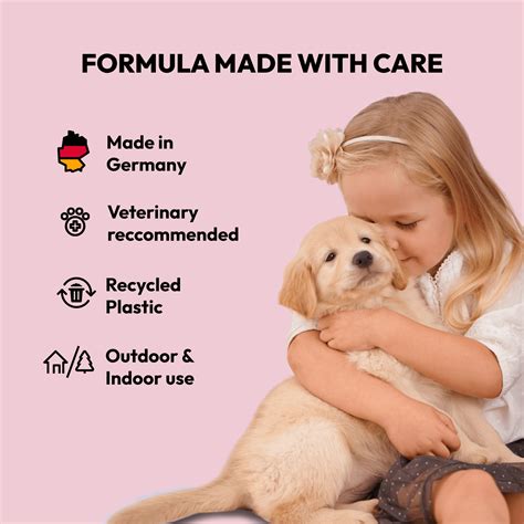 how to eliminate dog urine