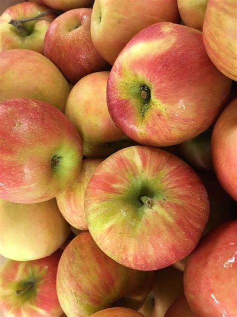 Apple Honeycrisp – Peak Produce LLC