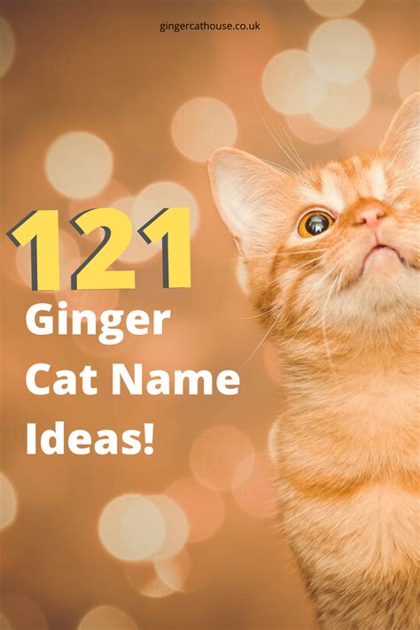 Top 10 Ginger Cat Names at Pearl Brandon blog