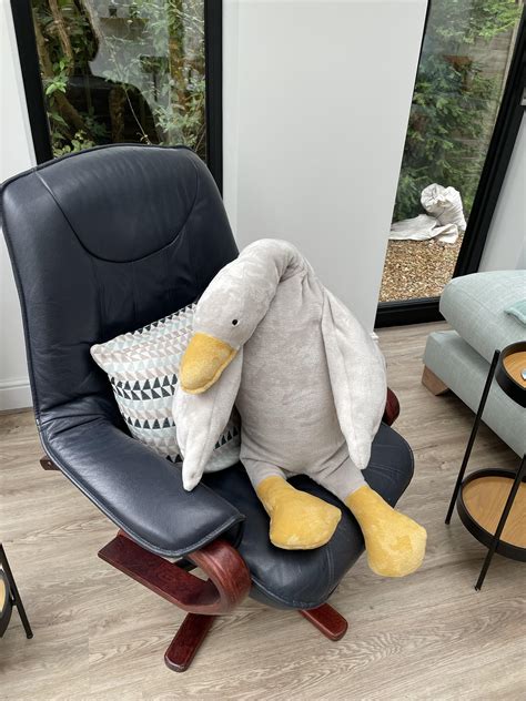 Massive Goose Plushie : r/sewing