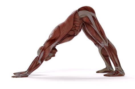16 Daily Stretches to Get Rid of Body Aches