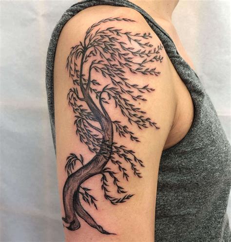 willow tree  tattoos