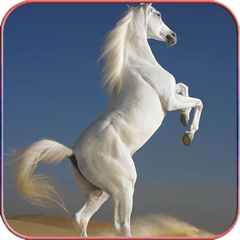 Horse Wallpapers 4K - Apps on Google Play