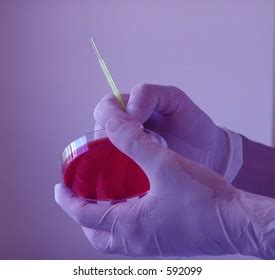lab work stock photo  shutterstock