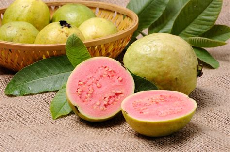 Guayaba, Latin America's Tropical Fruit