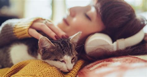 mellow zodiac signs    astrologer