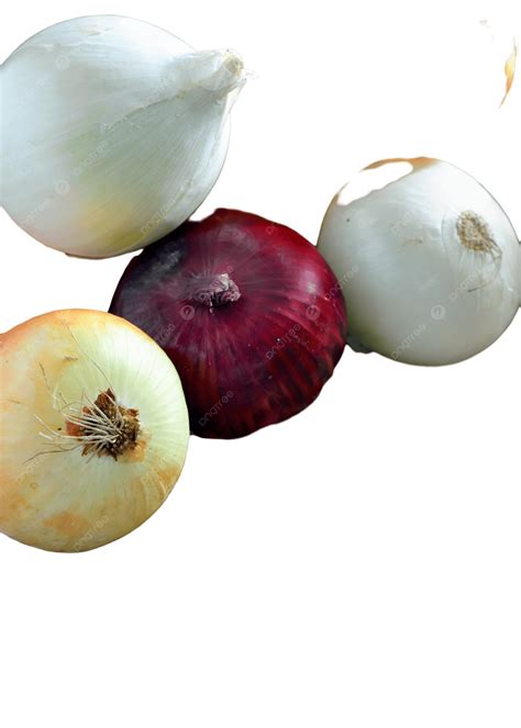 Different Types Of Onion Bulb Nature Condiment, Food, Agriculture
