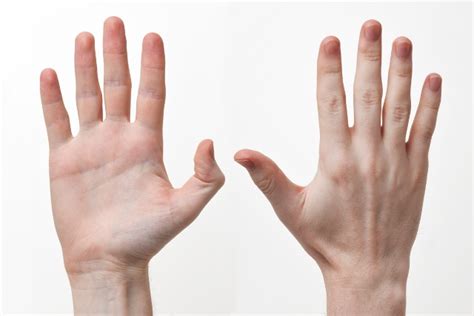 Bernard Marris et le revers de la main invisible – Philonomie
